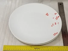 2 Dinner Plates Mikasa China Gourmet Basics Red Berries Pattern 10 1/2"