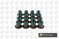 BGA VK3367 Dichtungsset, Ventilschaft FüR CitroëN, Fiat, Ford, Aguar ,Landrover,