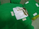 Vintage 1991 Creata International Love Light Pillow Item No. 1892  Turtle — photo 3
