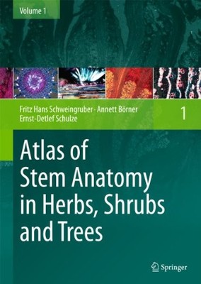 Atlas of Stem Anatomy in Herbs, Shrubs and Trees: Volume 1 (New)