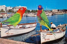 'Love Birds #2' Original Handcut Analogue Postcard Collage by Joyce and Vicky