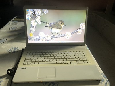 Notebook SONY Vaio PCG91111M Win11 Prof.4Gb Ram