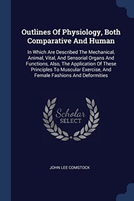Comstock - Outlines Of Physiology Both Comparative And Human  In Whic - T555z