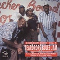 Magic Slim A.O. - Chicago Blues Session Vol.9 - Classic Chicago Blues