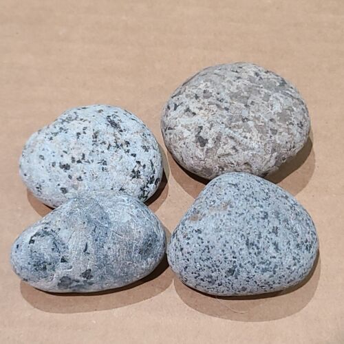 YOOPERLITE STONES ROCCE DI SODALITE FLUORESCENTE DAL LAGO SUPERIOR BAGLIORE SOTTO I RAGGI UV - Foto 2 di 4