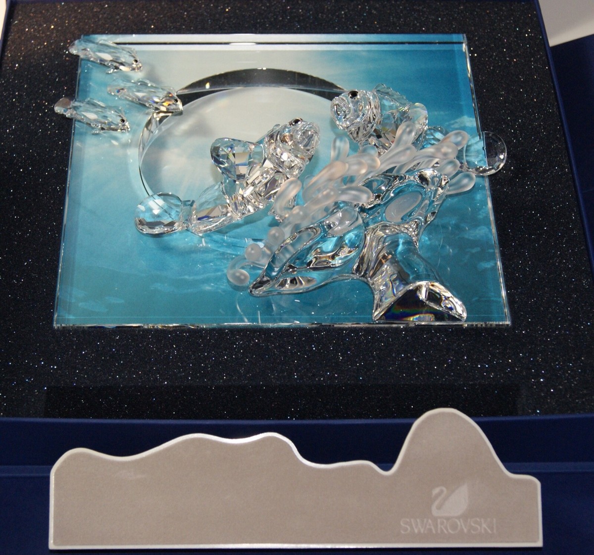 Swarovski Crystal Harmony Wonders Of The Sea Clear SCS 2005