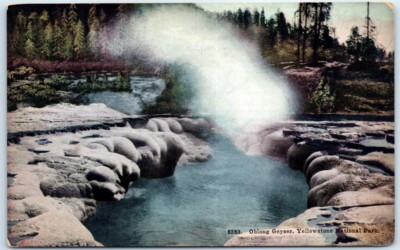 #ad Postcard Oblong Geyser Yellowstone National Park Wyoming $3.46