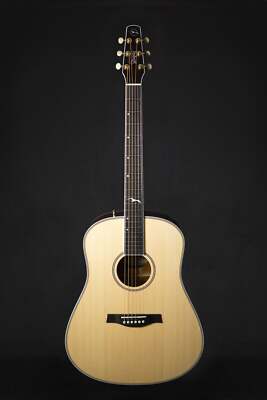 Seagull Artist Mosaic Anthem Elektro-Akustik-Gitarre