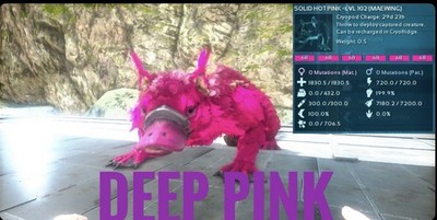 Ark Survival Evolved: Nintendo Switch PVE Official | Solid Color Maewing (1)