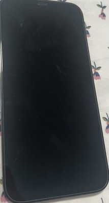 Apple iPhone 12 Pro Max 256GB Smartphone Pacific Blue, Unlocked