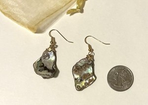 Authentic Natural Freeform Abalone Earrings With Bright Gold Plated French Hooks