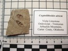 Foto 2 di 4