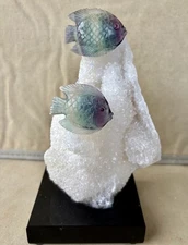 Fluorite Fish Pair on Drusy Calcedony-7" -Peter Muller