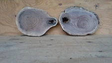 Walnut Live Edge 3 slices approxmately 19" wide  13 " long West Virginia Organic