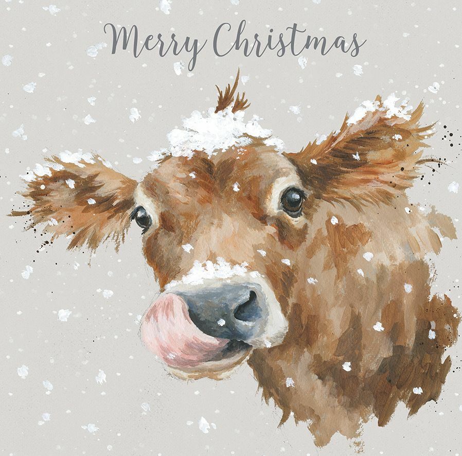 Wrendale Designs First Taste of Snow Boxed Christmas Cards - Set Christmas Cards