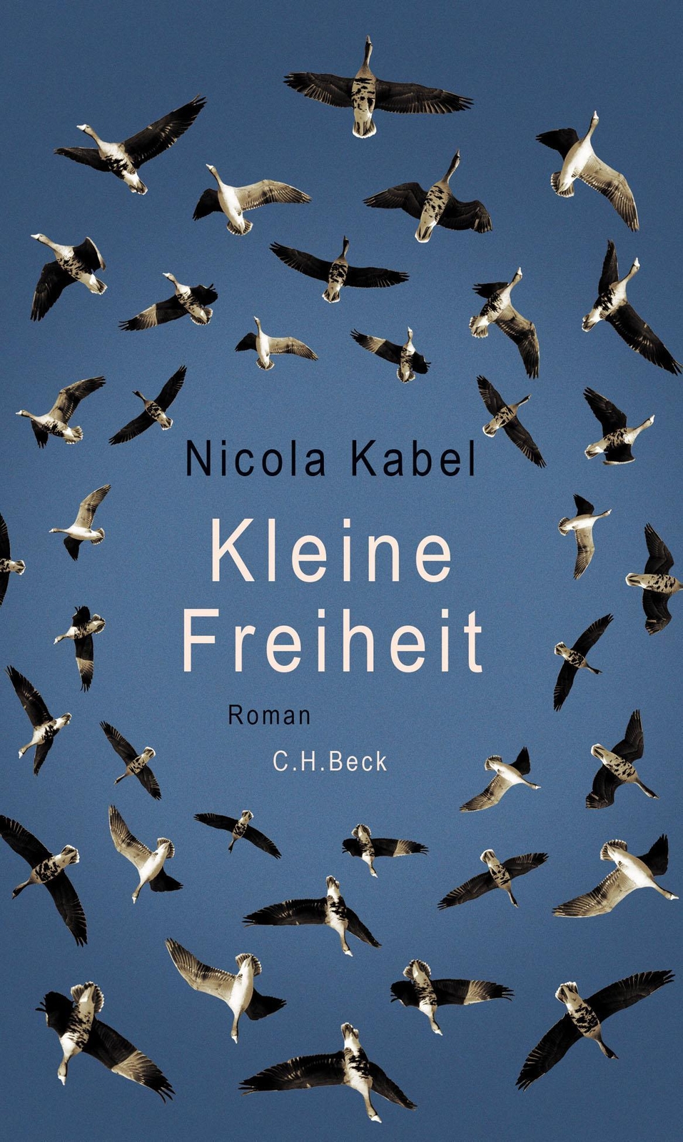 Kleine Freiheit Nicola Kabel