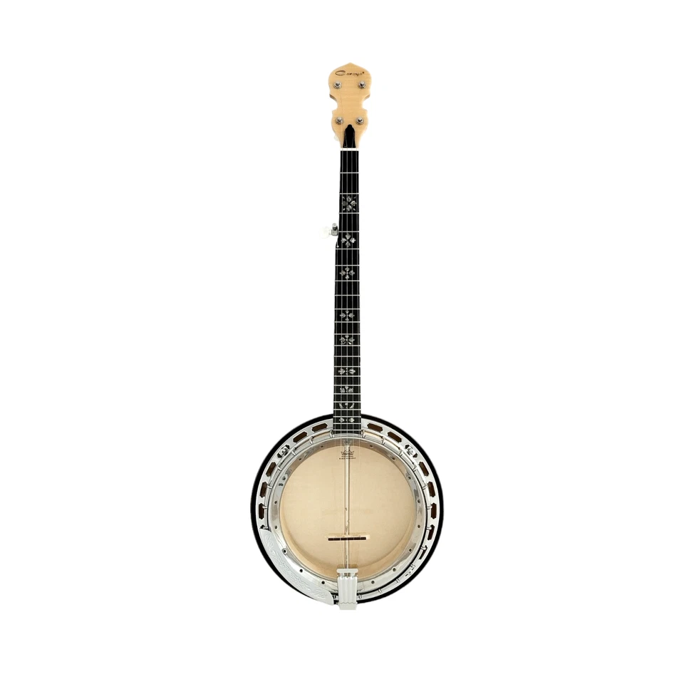 The Harmony of Tradition and Innovation BJ009AM 5-String Banjo - Image 3 of 4