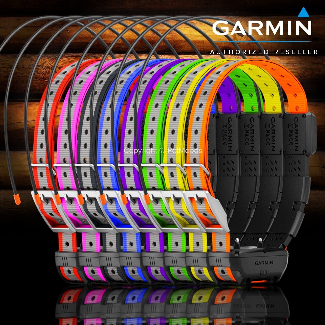 Garmin Alpha TT25 GPS Dog Tracking & Training Collar with Reflective Strap-image