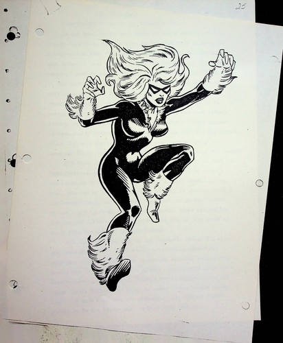 BLACK CAT Marvel Productions Company verschiedene 1980er Jahre Serries Charakter Bibel 2 Seiten