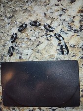 Nina Lucite Chain Clutch Black Evening Bag