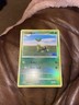 Pokemon TCG- Turtwig- Reverse Holo- Majestic Dawn 2008: 77/100 Platinum Played
