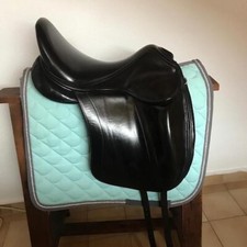 Roomy Gullet!!! 17,5 Childerico