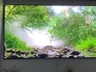 Tv Samsung Qn95a