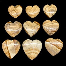 9 Pcs Natural Picture Jasper 28.4-43.6mm Heart Shape Loose Untreated Gemstones
