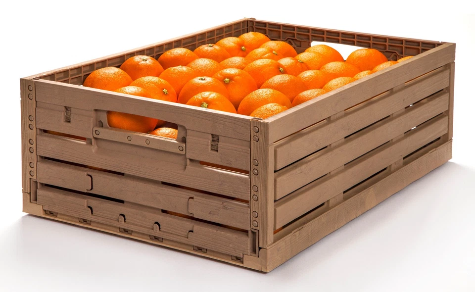 20 Stück Gemüsekiste Obstkiste Kiste Klappbehälter 400x300x165mm Gastlando - Bild 4 von 4