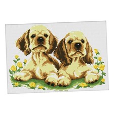 Dimensions Crafts Kit Punto Croce Timbrato 11CT Kit Ricamo Stoffa Aida