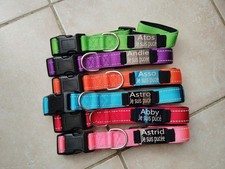 Lot de 6 Colliers Pour Chien XL