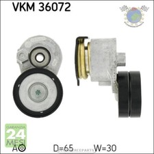 Tendicinghia cinghia servizi SKF per RENAULT SCENIC MEGANE GRAND CLIO