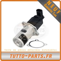 Agr-Ventil Clio 2 3 MéGane 2 Kangoo Modus ScéNic - 8200004883 8200130609 EG10297
