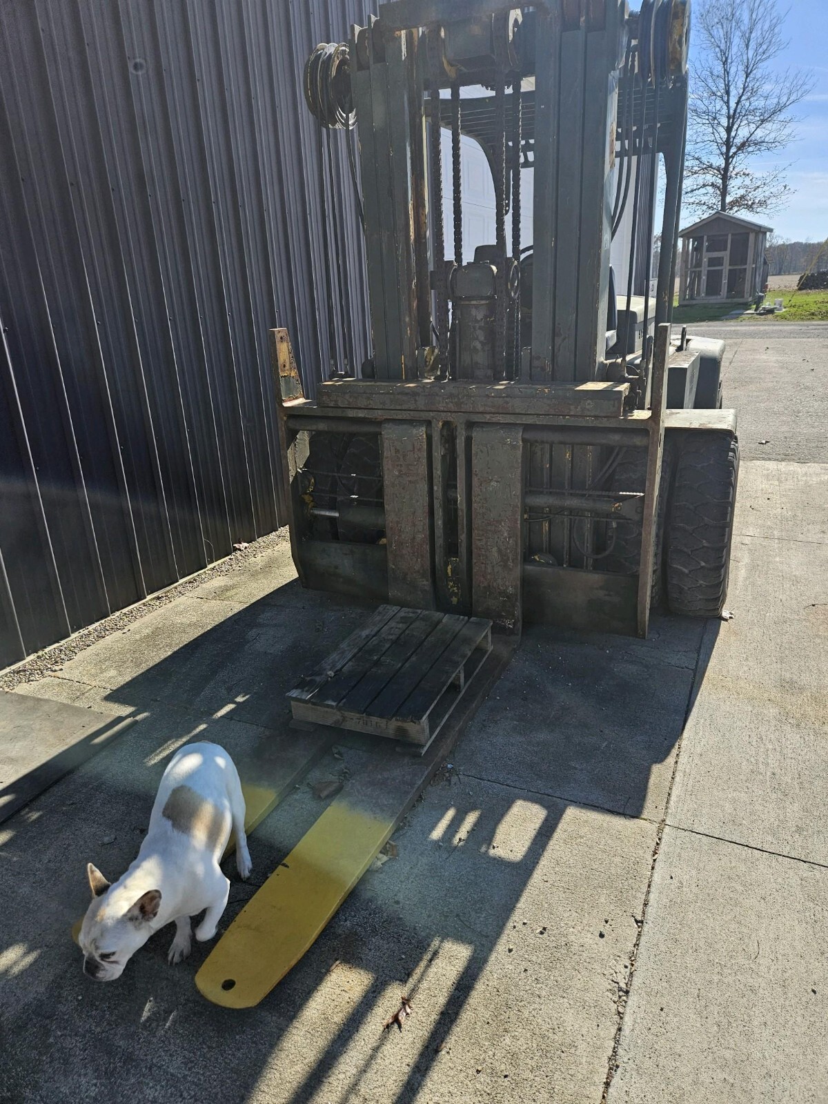15,000 lb to 17,000 lb Hyster Forklift For Sale eBay