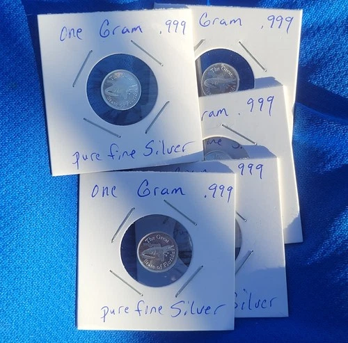 (5) x 1 gram .999 Fine Silver "The Great State Of Florida" Alligator Art Rounds