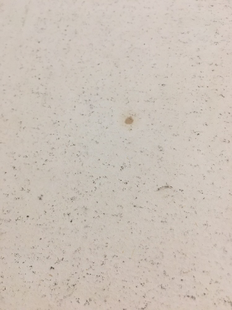 Francois Chauveau Engraving After Le Vie De St. Bruno Sueur Plate 5 Meeting 1660