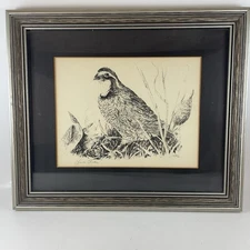 8" 1975 Vtg. Signed Linda Picken Wildlife Artist Bird Print Framed Wall Decor