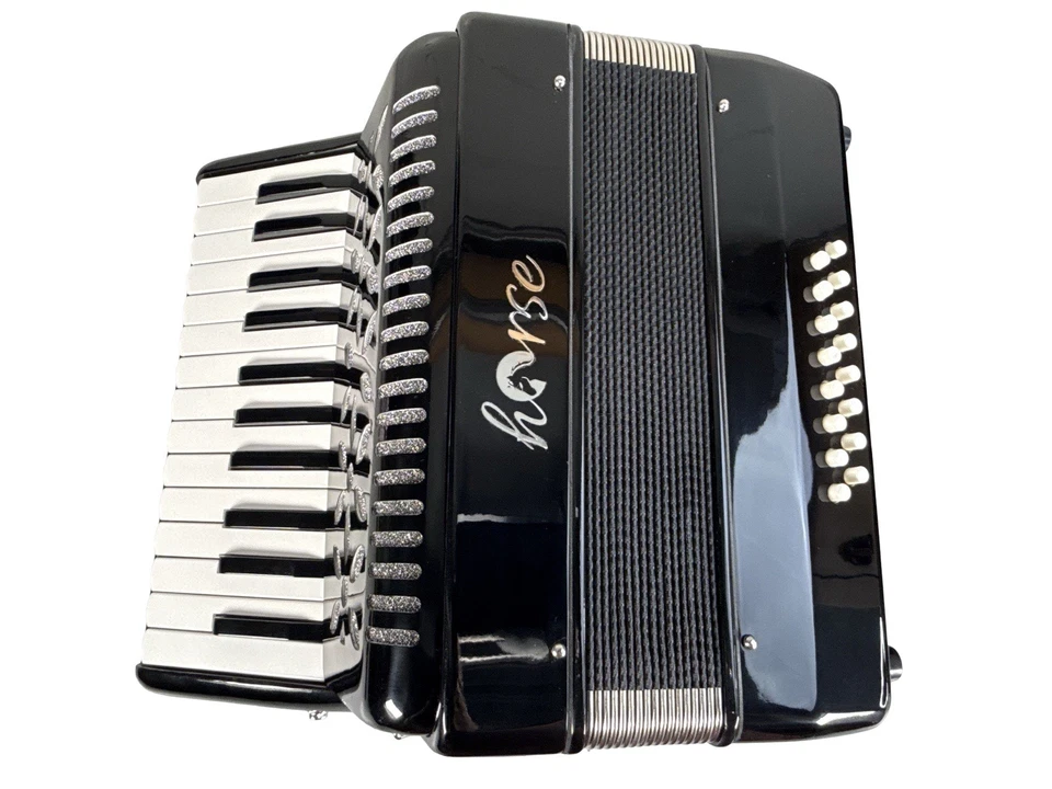 Acordeón Caballo 25 Teclas, Acordeón Piano Estudiante 16 Bajo Foto 4 de 4