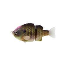 Depths Tiny Bull Shooter #15 Scum Perch | Fishing Tackle So