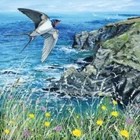 Deep Blue  - Art Blank Greeting / Birthday Card- Swallows Birds Cliffs Bay Coast
