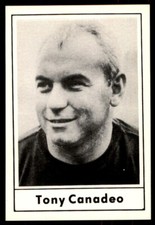 1977 TOUCHDOWN CLUB TONY CANADEO GREEN BAY PACKERS #49C HOF