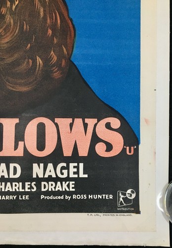 All That Heaven Allows Original Quad Movie Poster LINEN BACKED Douglas Sirk 1955 - Foto 5 di 8
