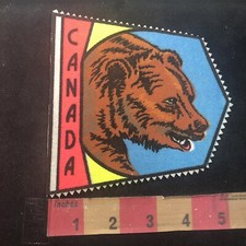 Vtg Over 5 Printed On Felt Canada Wildlife GRIZZLY BEAR Patch 00TV