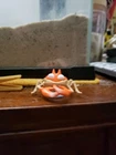 Vintage Pokemon Krabby Tomy Toy Nintendo 1999 2" Figure