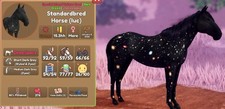 Standardbred Horse Deep Space Coat Mare Island Unique Rare Unbreedable 80%