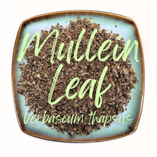 Mullein Leaf Dried Cut Herb Organic Herbal Tea Bulk - Verbascum thapsus
