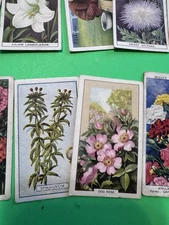 Flower/floral/gardening related tobacco cards RANDOM MIX (10 Count)