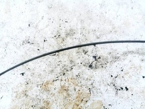 000236 Innenausstattung  Volkswagen Phaeton DE2461613-81