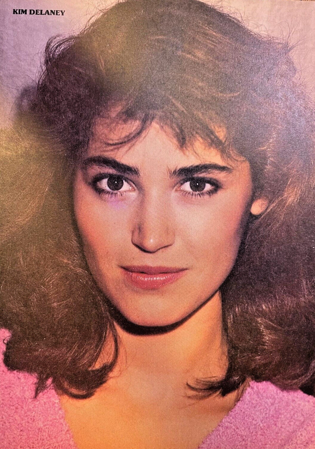 1980s Vintage Magazine Illustration Actress Kim Delaney | eBay