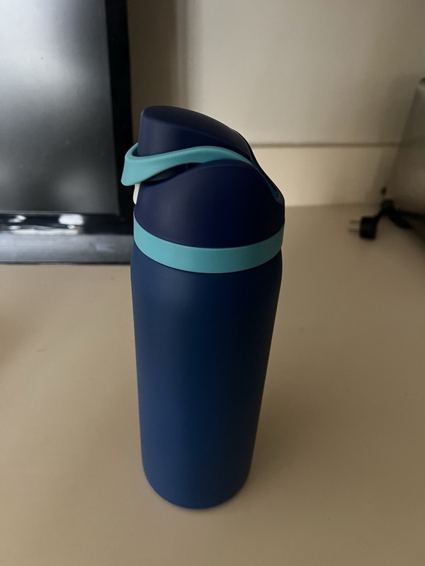 FreeSip Insulated Stainless Steel Water Bottle  Straw Travel 32oz 24oz 19oz